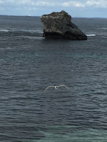 0188c25ce9b2e725aae1dafc11daac31fc4f292774