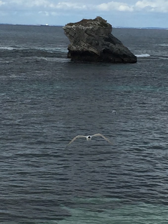 0188c25ce9b2e725aae1dafc11daac31fc4f292774