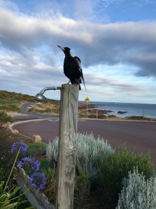 0177b04c32a6a658f03fe392d309a87b5d43272e3d