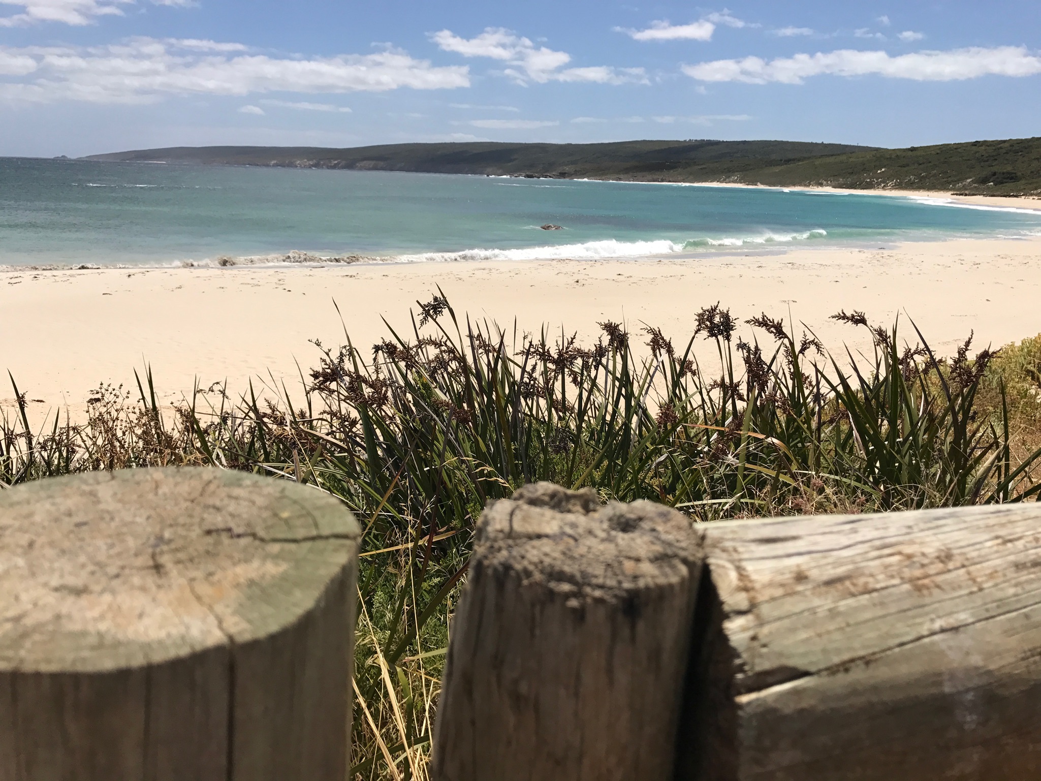 01e30d20a7267d6f84650c77942799acf46dd07eeb